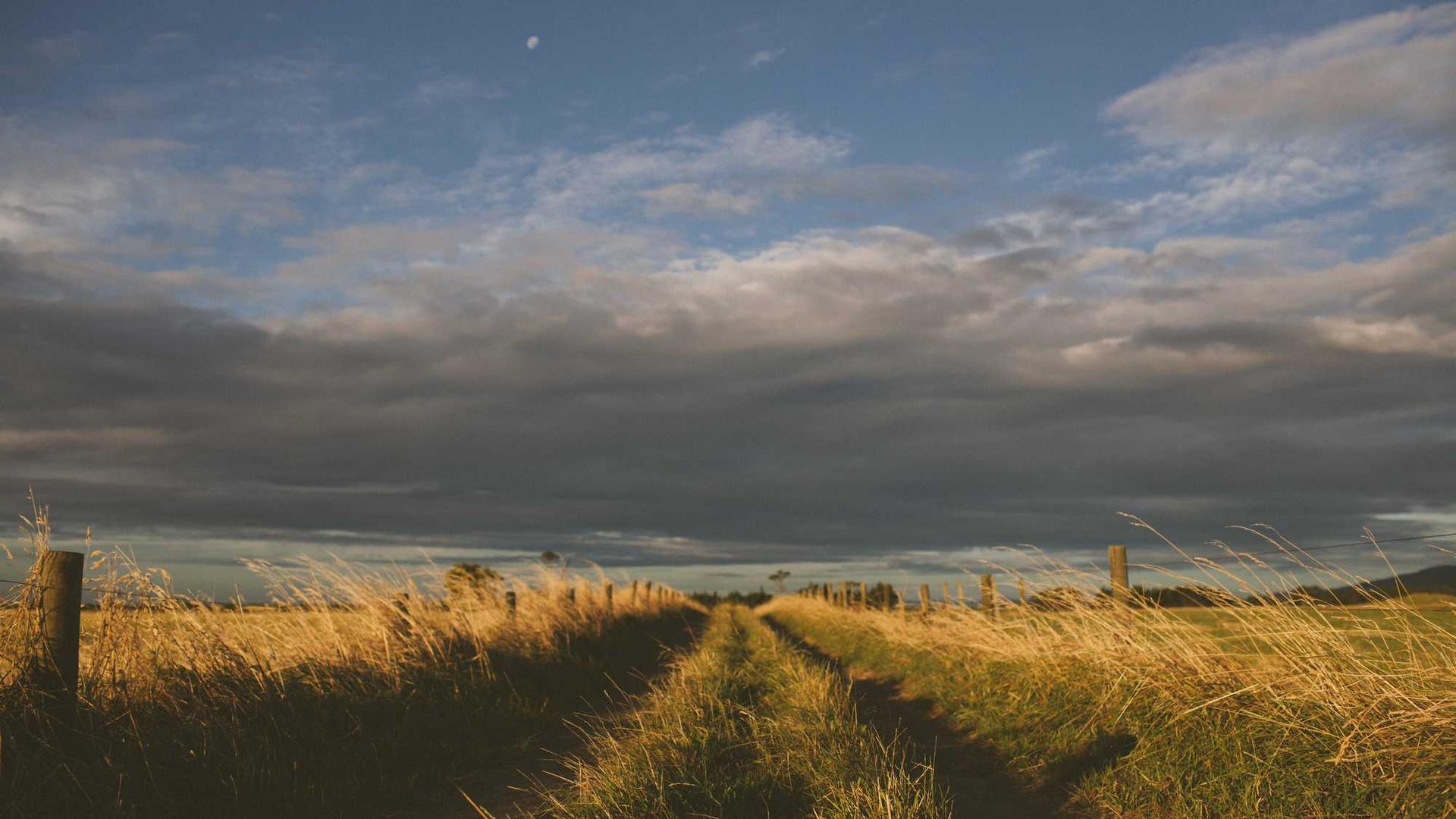 Id totam velit aut. cover photo